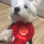 Frank Rooney - @frankrooney999 - Instagram