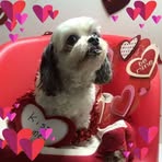 Fran Rosenberg - Facebook
