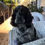 Fran Rowan - @frannyrow - Instagram