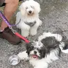 Francesca Rowan - @francesca.rowan - TikTok