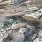 FranRoweFineArt - @franrowefineart - Instagram