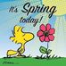 Fran Rowland - Facebook