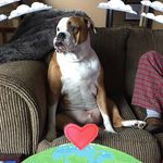 Fran Rowland Chircoski - @rowlandchircoski - Instagram