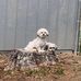 Frances Rudd - Facebook