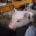 Fran Rutherford - Facebook