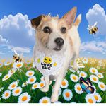 Frankie Jameson Rutherford - @frankiejameson.jrt - Instagram