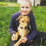 Ryder Frank - @ryder_the_puppy_frank - Instagram