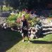 Fran Sadler - Facebook