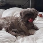 frankie - @fran_sadler - Instagram