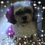 Fran Sanders - Facebook