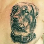 Frank Sauer - @rottilisa7792 - Instagram