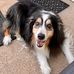 Fran Schneider - Facebook