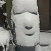 Frank Scholl - @frank111145 - TikTok