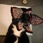 Fran G. Seaman - @fran.g.seaman - Instagram