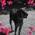 Fran Seymour - Facebook