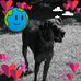 Fran Seymour - Facebook