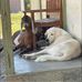 Fran Sharp - Facebook