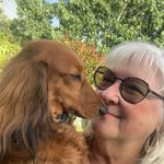 Frances Shaver - @franshaver - Instagram