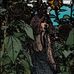 Fran Shaw - Facebook