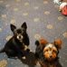 Fran Shaw - Facebook
