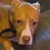 mom forgettable - @frances.hawley - TikTok