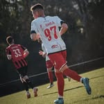Franco Shea - @franco_shea - Instagram