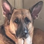 Franky Shepard - Facebook