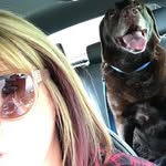 Fran Sheppard - @mrsshep1108 - Instagram
