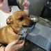 Fran Shipman - Facebook