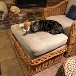 E Frank Shoemaker - @efrankshoemaker - Instagram