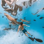 Fran Silva ✈️🌲🌊🏄‍♂️🛹📷🤳 - @fraan._.silva - Instagram