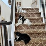 Fran Reinstein Simmons - @reinsteinsimmons - Instagram