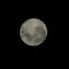 Fran Simonetto - @fran.simonetto - TikTok