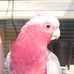 Fran Simpson - Facebook