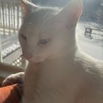 @frank_slater - Instagram
