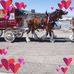 Fran Slaugh - Facebook