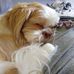 Fran Snyder - Facebook
