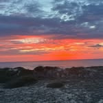 Fran Snyder - @beachluvr10 - Instagram