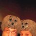 Frances Spaulding - Facebook