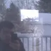 franksprague379 - @franksprague379 - TikTok