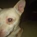 Fran Springer - Facebook
