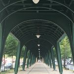 Frank Springer - @springer5477 - Instagram