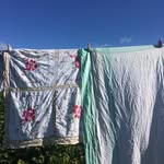 Washing Lines - @frannysquires - Instagram