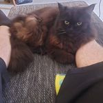 Frank Stahl - @frankstahl17 - Instagram