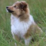 Frank Heike Stahl - @frank.stahl.31 - Instagram