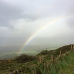 Fran Stephenson - @franstephenson9 - Instagram