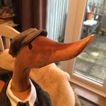 Fran Stevens - @fs5112018 - Instagram