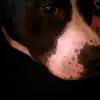 Fran Stevens - @franstevens2 - TikTok