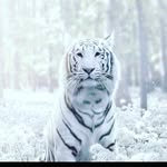 fran stevens - @franstevens2 - Instagram