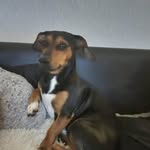Fran Stewart - @imalady1234 - Instagram